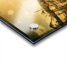 Zeehan Tasmania Outback Bridge Acrylic print