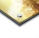 Richmond Tasmania riverscape Acrylic print