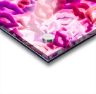 Hot pink desire Acrylic print