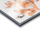 A flurry of peach and gold butterflies Acrylic print