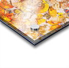 Butterflies and maps Acrylic print