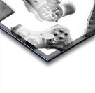 A visual play Acrylic print