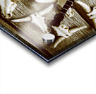 Playing up a country scene Acrylic print