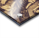 Story of the American West Acrylic print