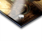 Country banjo Acrylic print