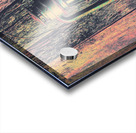 Reclaimed Acrylic print