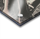 Skulls and strings Acrylic print