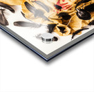 Crowed and feathered Acrylic print