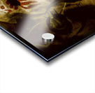 Burlap and feather Acrylic print