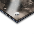 Crowtrolled opposition Acrylic print