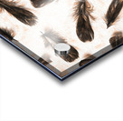 A feathery foray Acrylic print