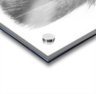 Pencil plume Acrylic print