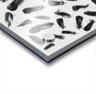 Light and dark Acrylic print