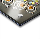 Kooky owls Acrylic print