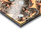 Antique owl consortium Acrylic print