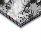 Amidst a sea of hearts Acrylic print