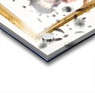 Framing a paradigm Acrylic print