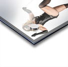 Power play Acrylic print