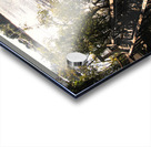 Burnett River Walk Acrylic print