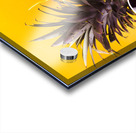 Resorting to a cocktail Acrylic print