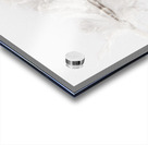 Feathery Acrylic print