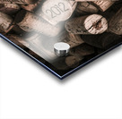 Wine cellar opulence Acrylic print