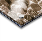 Corksortium Acrylic print