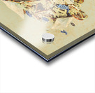 Nautical rust Acrylic print