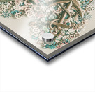 Hearts and anchors Acrylic print