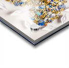 Hooked Acrylic print