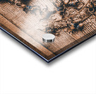 Horseshoe racing Acrylic print