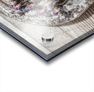 Horse play Acrylic print