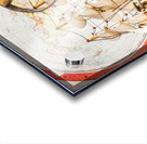 Captains stock Acrylic print