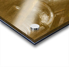 Samplers loft Acrylic print