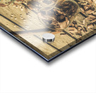 American oak Acrylic print