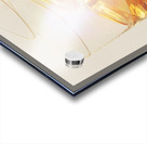 Three time Acrylic print