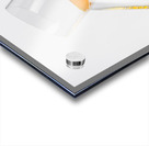 Top shelf Acrylic print