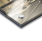 The cleanup crew Acrylic print