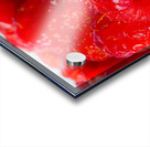 Berry moderns Acrylic print