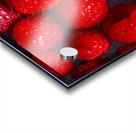 Summer reds Acrylic print