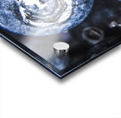 Berry detailed Acrylic print