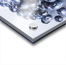 Blueberry bunch Acrylic print