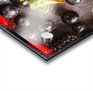 Summer selections Acrylic print