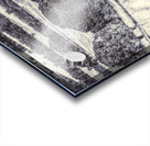 Grasslands Acrylic print