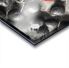 Cherry picked Acrylic print