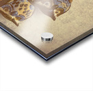 Owlnate Acrylic print