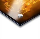 Free Flight To Free Form Acrylic print