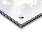 Serenity and grace Acrylic print