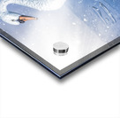 Snowy river swan Acrylic print