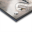 Reflective synopsis  Acrylic print